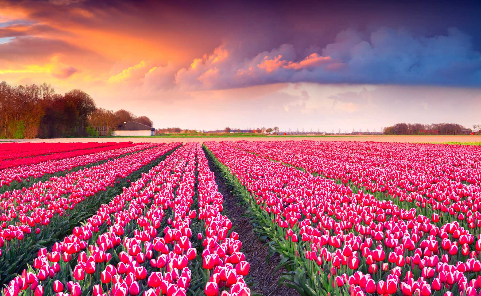 Private Tagesausflug-Option von Amsterdam