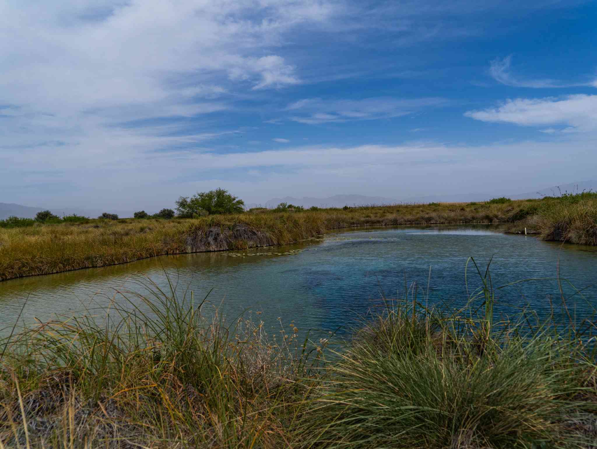 Cuatro Ciénegas de Carranza