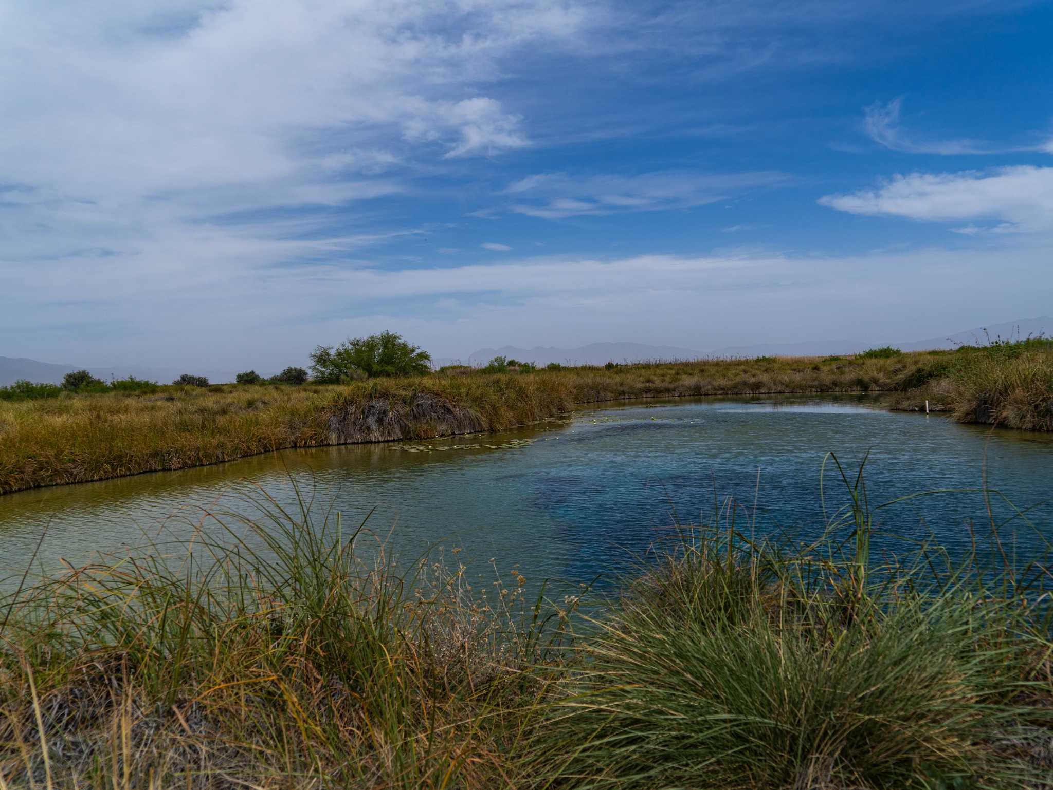 Explore the "four marshes" where natural springs create an ecological marvel in Mexico's arid Coahuila state.