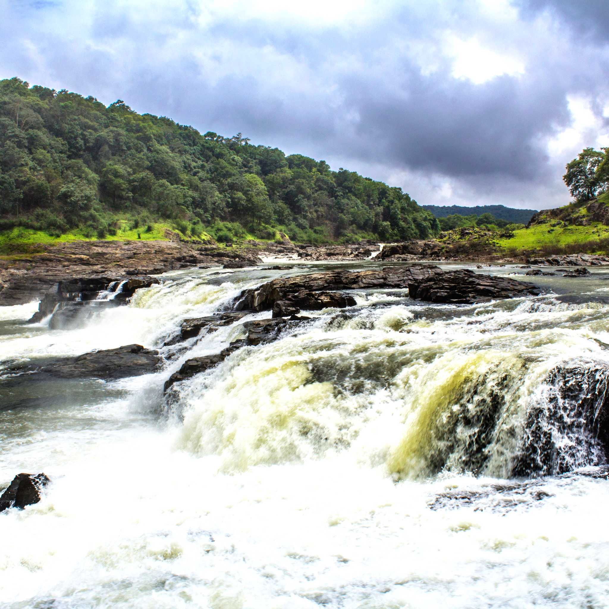 Dandeli
