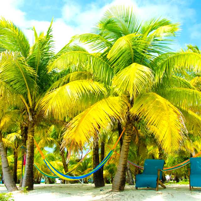 Belize City to Dangriga: Private day trip