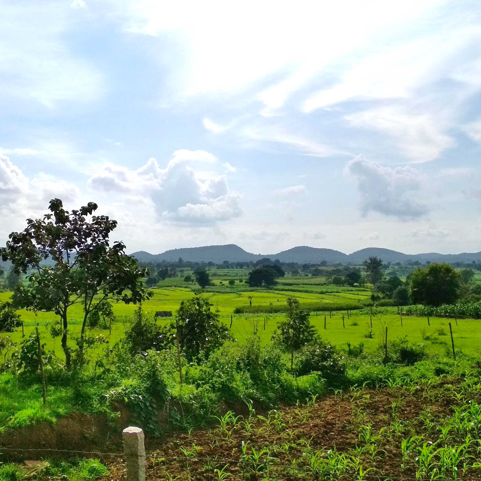 Dharwad
