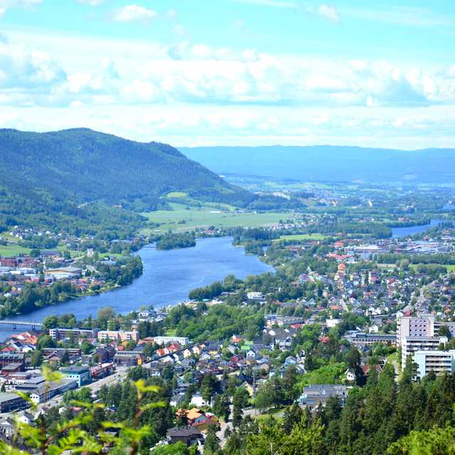 Oslo to Drammen and Horten: Private day trip
