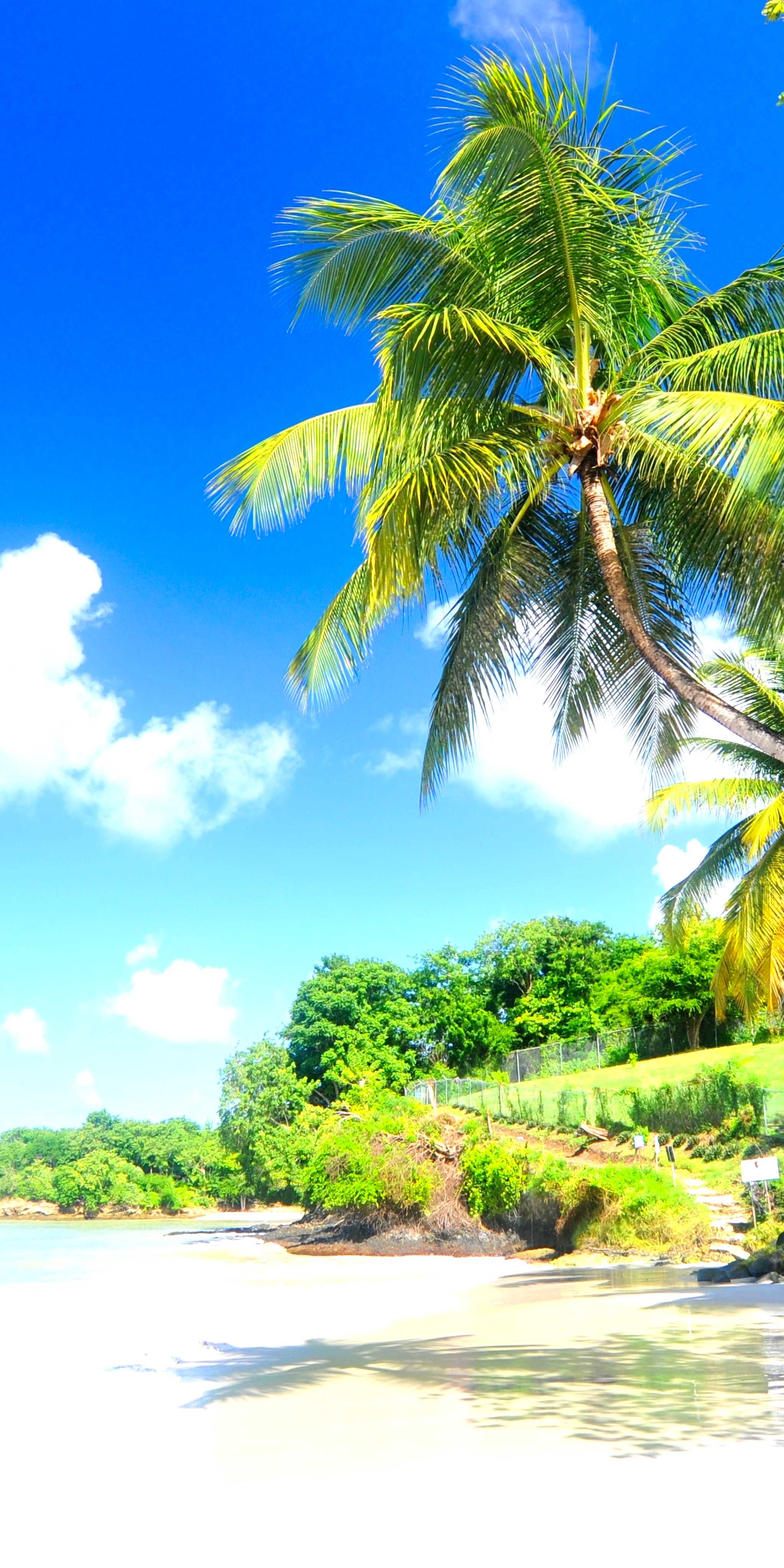 Hewanorra International Airport