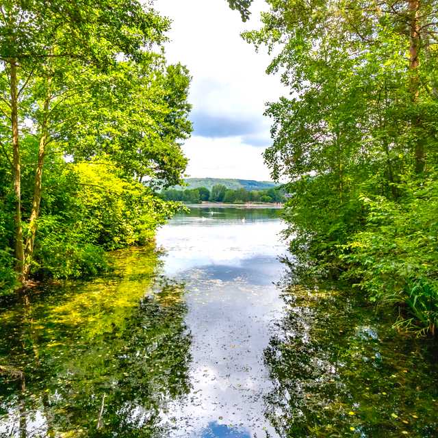 Luxembourg City to Vianden castle and Echternach: Day trip