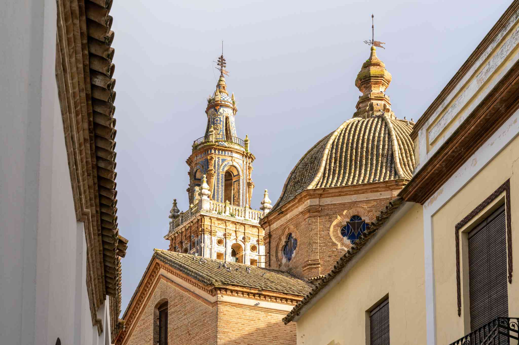 Blick auf die Landschaft von Seville - private Tagesreise von Seville - Foto 2