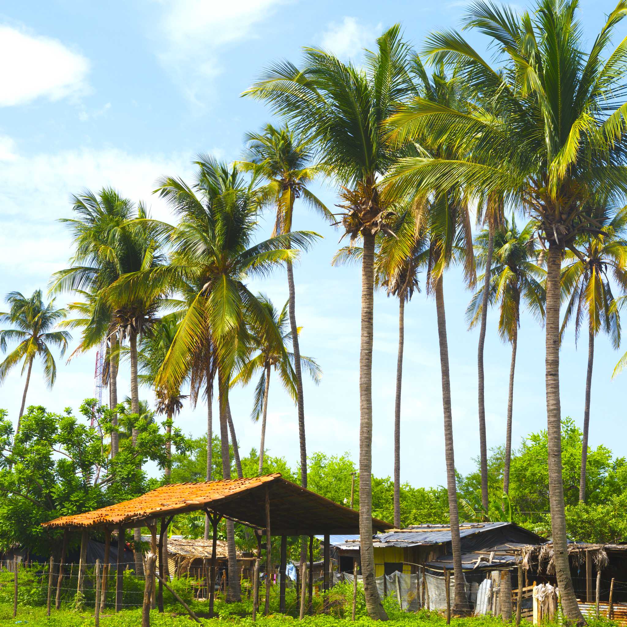El Paraiso