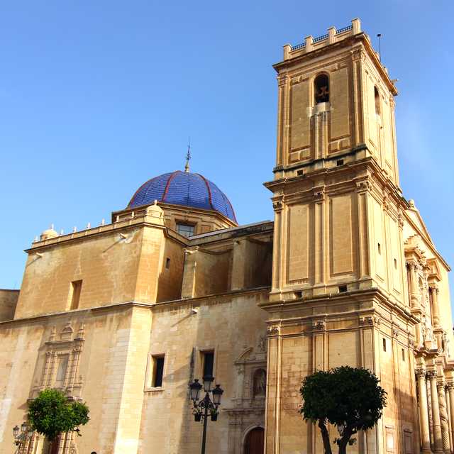 Valencia to Elche and Orihuela: Private day trip
