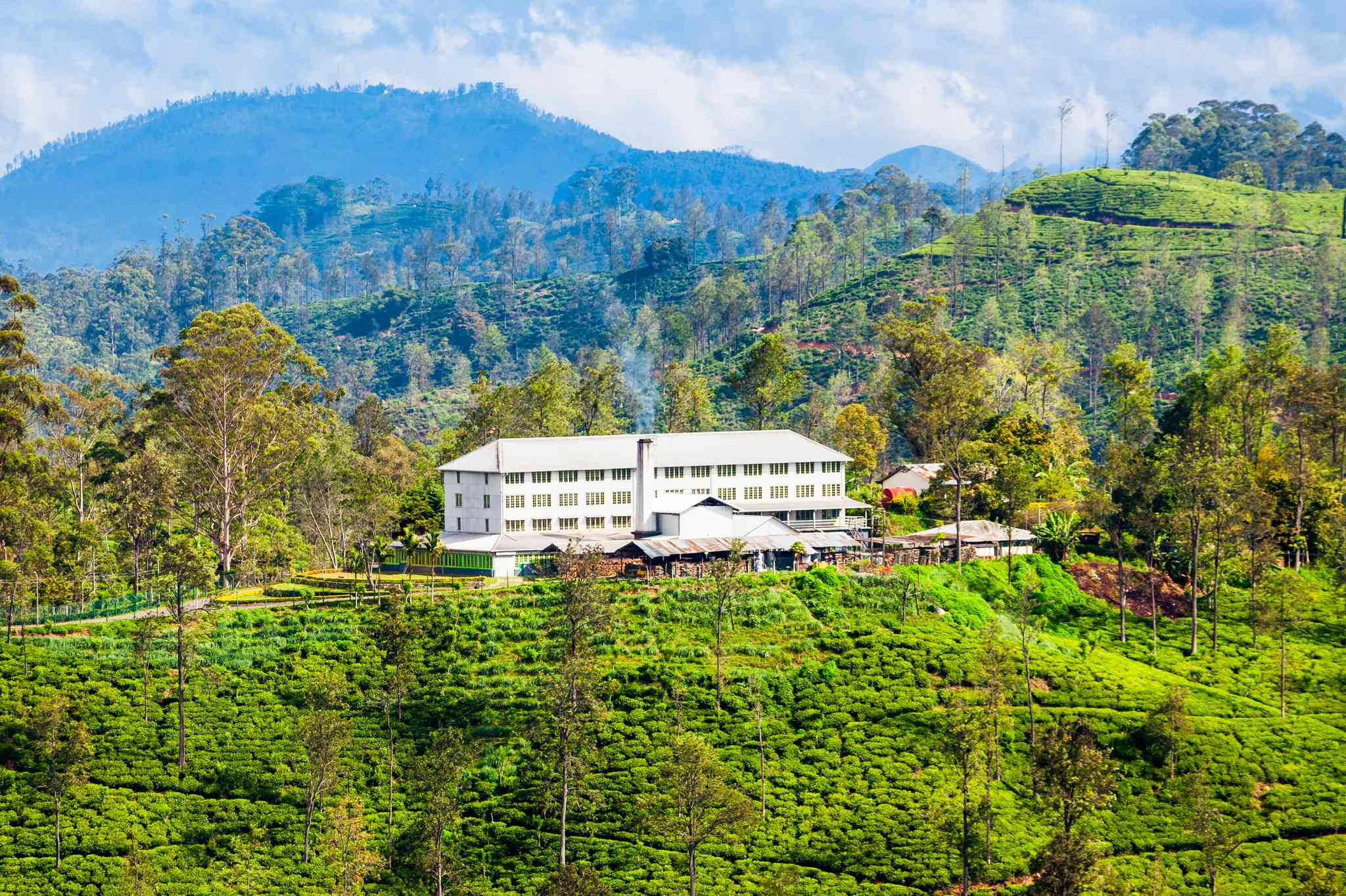Vista panorámica de Negombo - excursión privada de un día desde Ella - foto 7