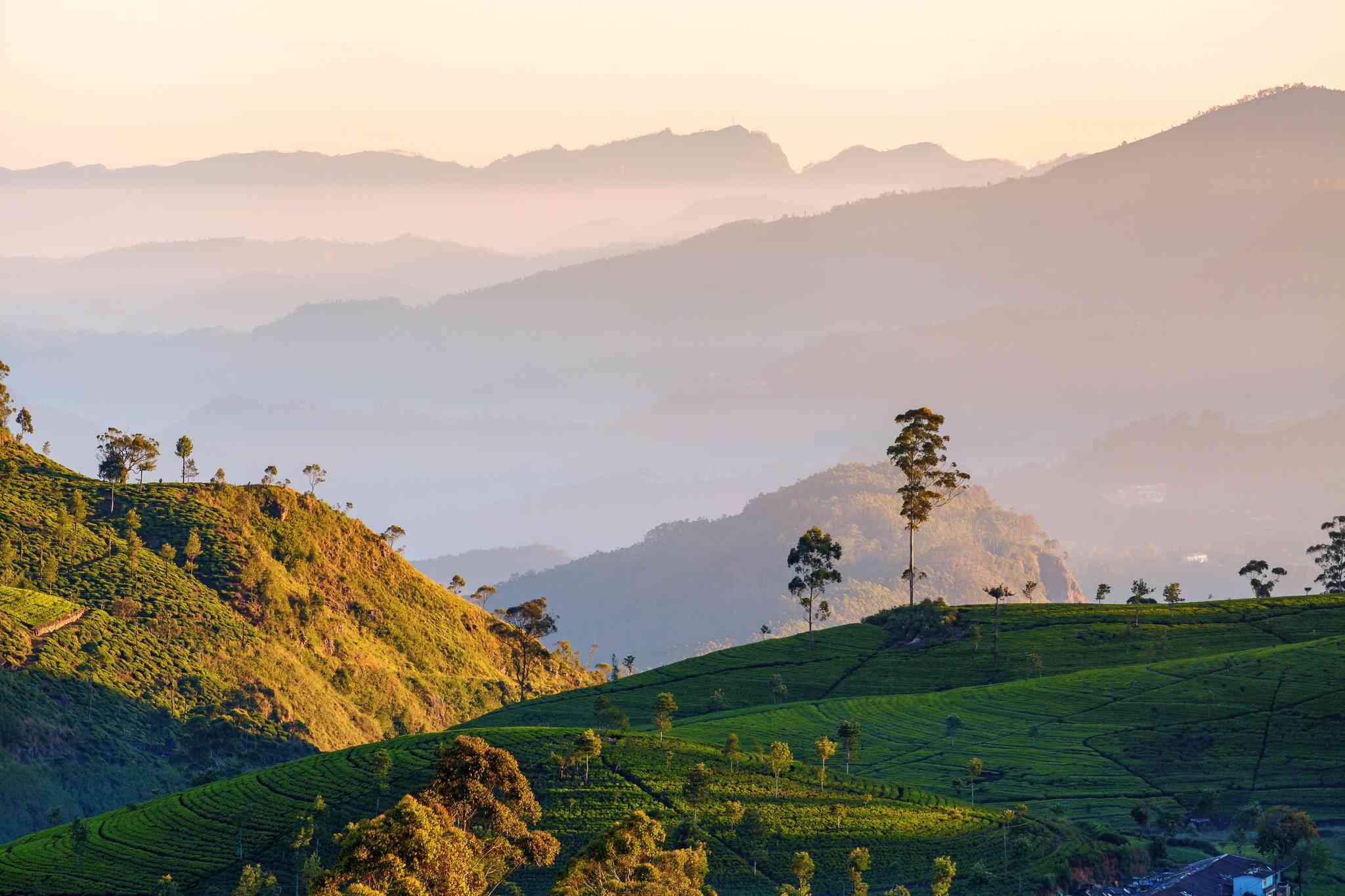 Vista panorámica de Negombo - excursión privada de un día desde Ella - foto 8