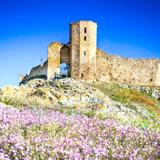 Constanta to Enisala Fortress: Private day trip