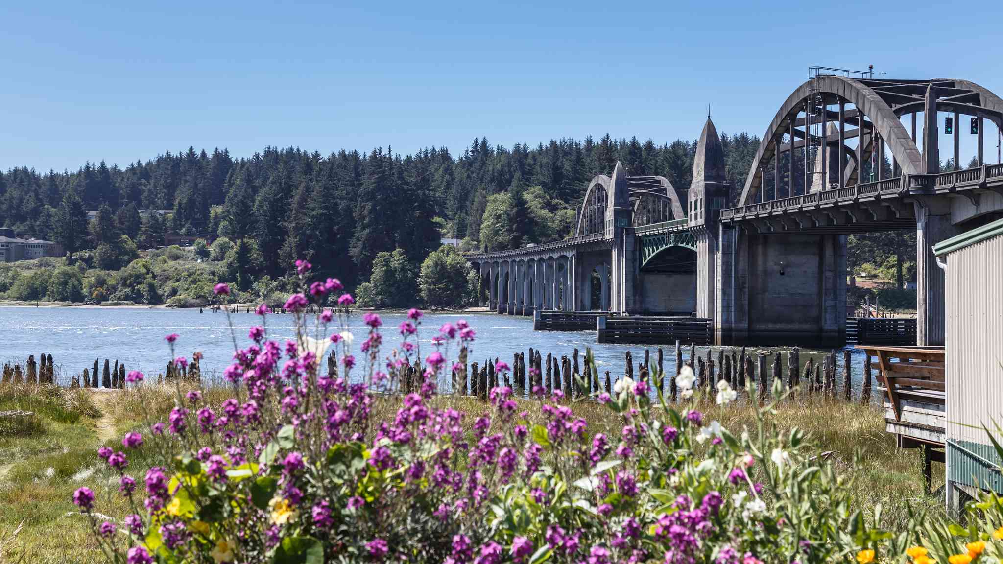 Florence, OR 의 경치 - Crescent City, CA 에서 출발하는 개인 day trip - 사진 3