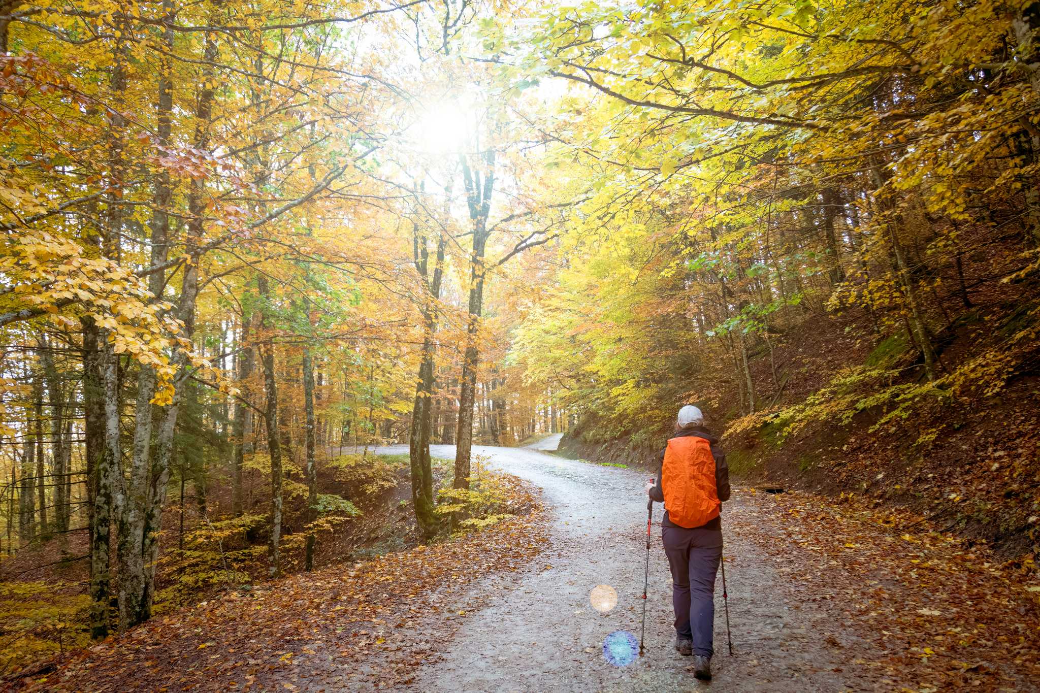 A person hiking on a nature trail under autumn leaves while the sun shines. Bright red and orange foliage awaits visitors to this forest sprawling across Veneto and Friuli Venezia Giulia.