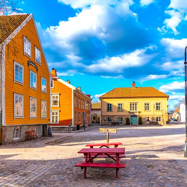 Oslo to Fredrikstad and Sarpsborg: Private day trip