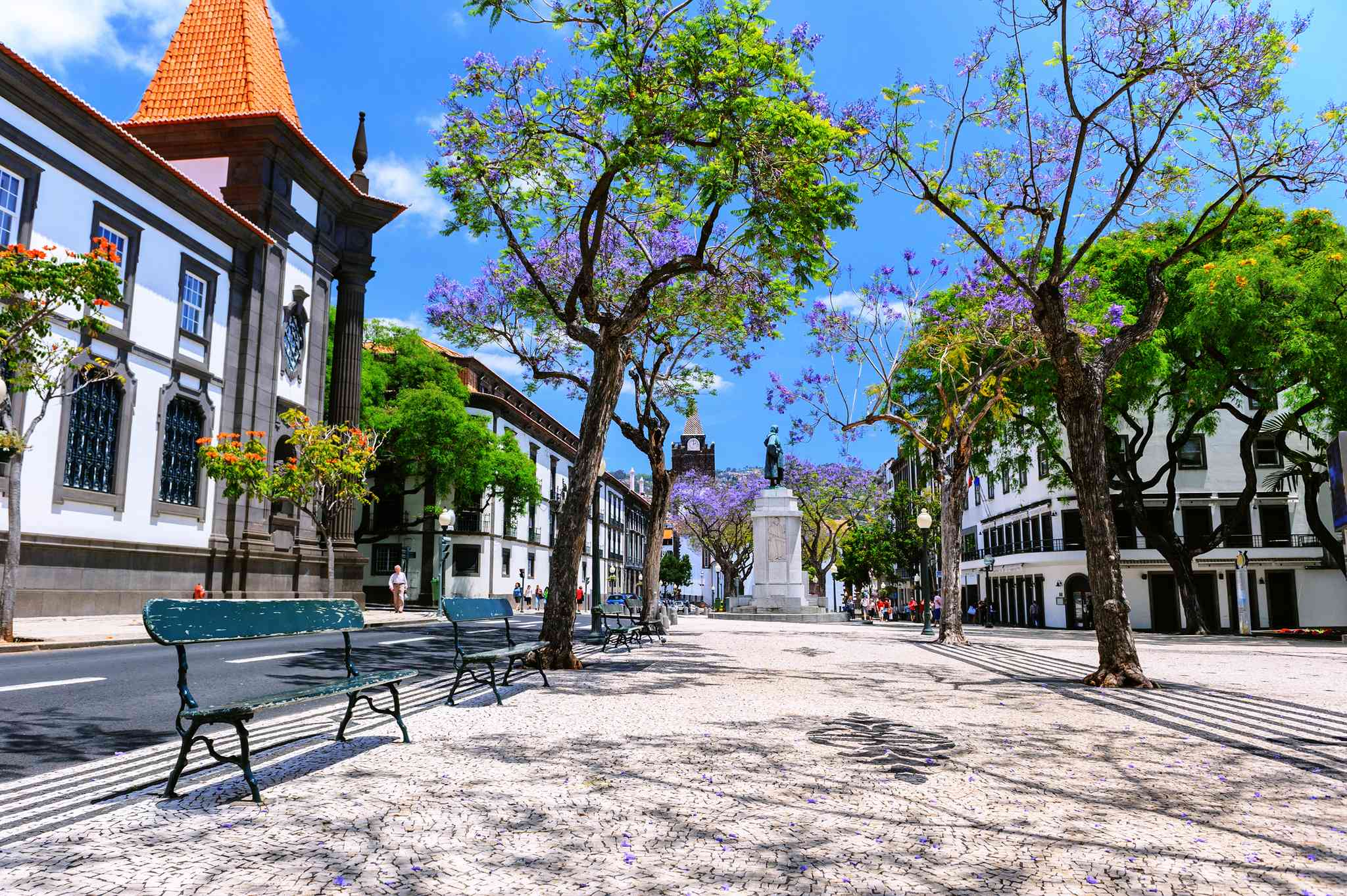 Vue pittoresque de Funchal - excursion privée d'une journée depuis Canical - photo 2