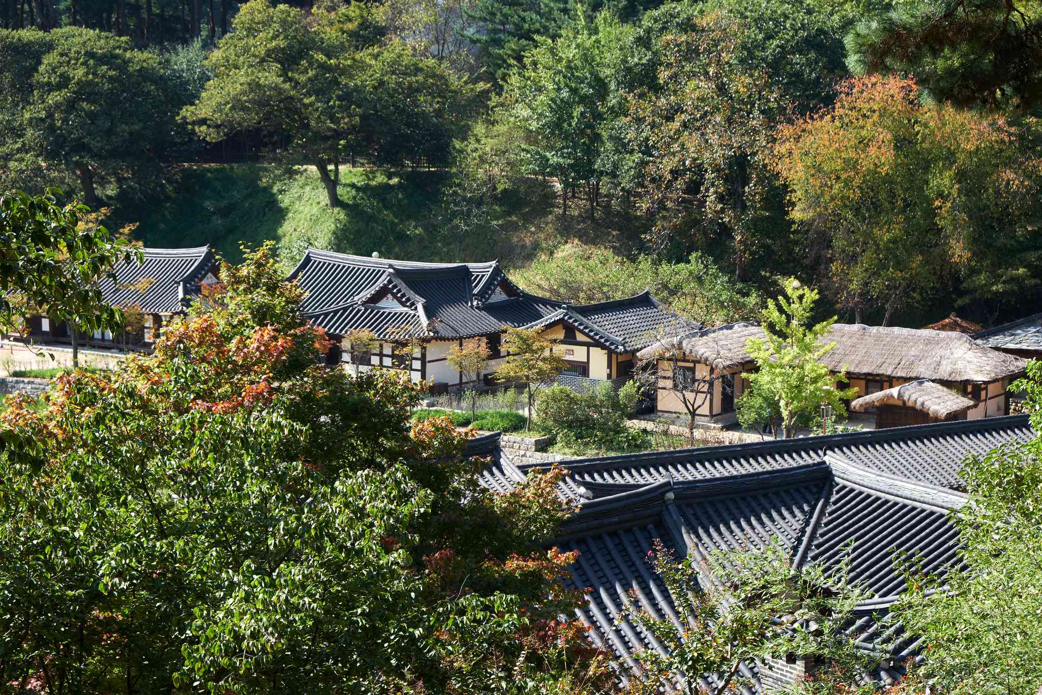 Incheon 의 경치 - Gangneung 에서 출발하는 개인 day trip - 사진 8