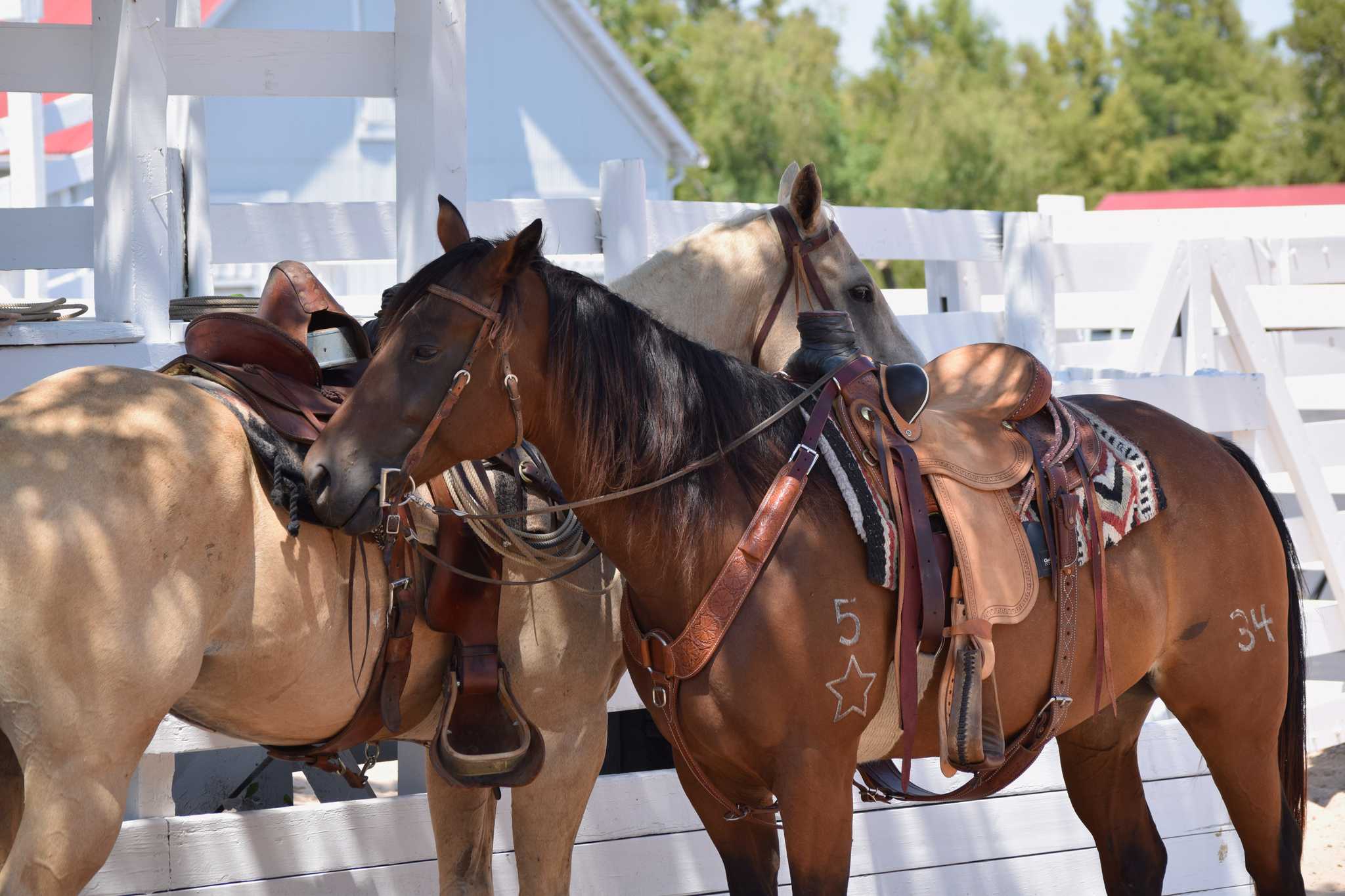 Visit George Ranch Historical Park on the way from austin-tx-us to galveston-tx-us with Daytrip