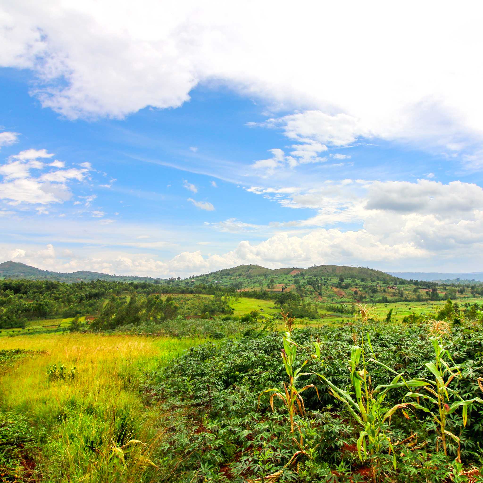 Private car transfers in Burundi from Gitega