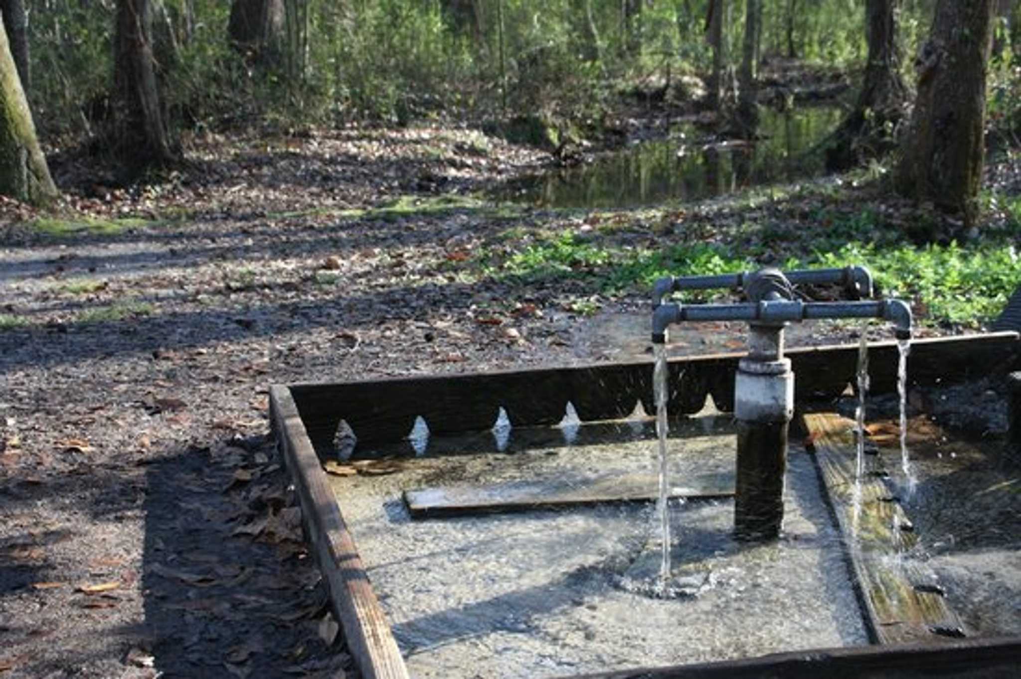 在 从 jacksonville-fl-us 到 knoxville-tn-us 的途中，参观 God's Acre Healing Springs ，通过 Daytrip