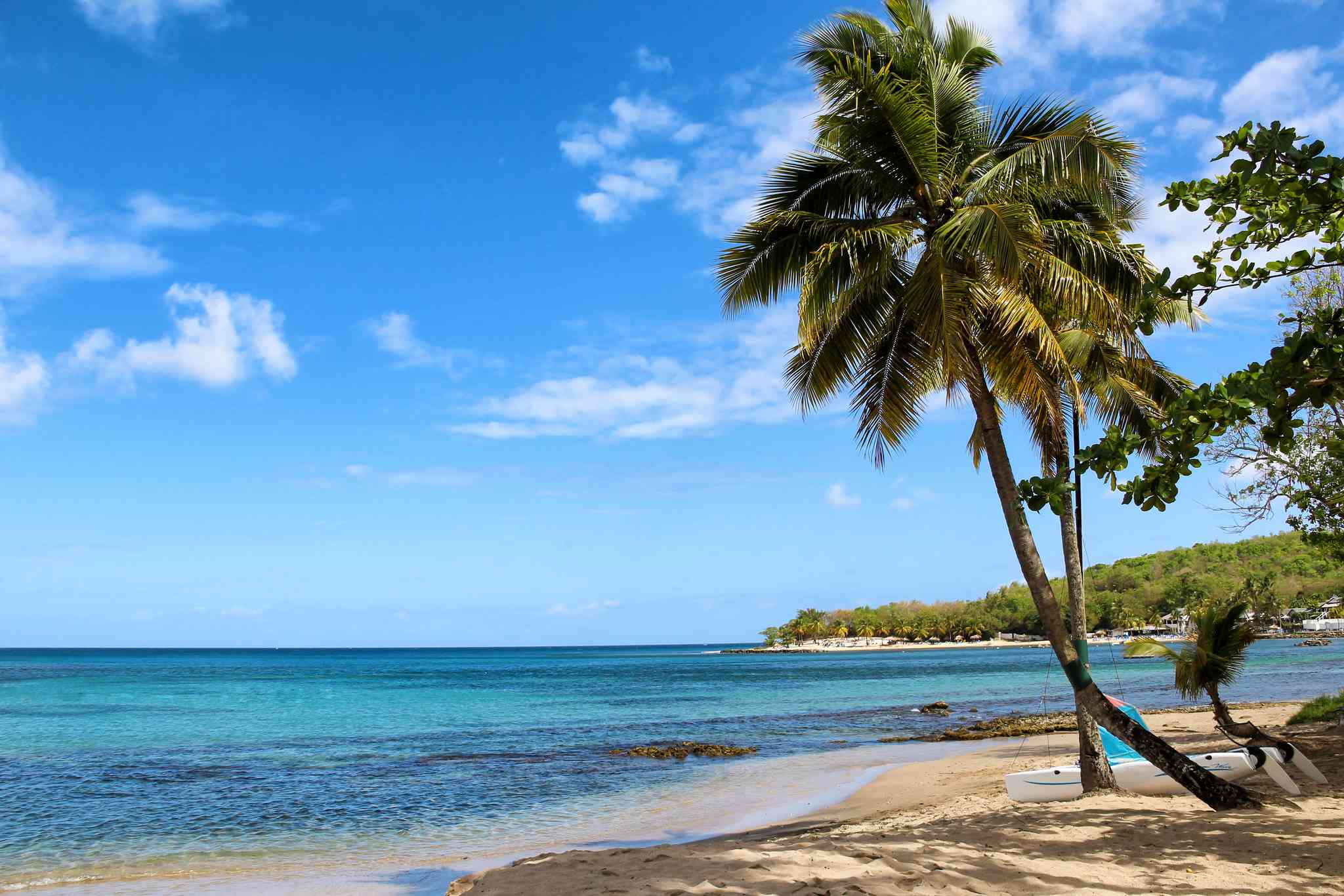 카스트리 의 경치 - Gos Islet, St. Lucia 에서 출발하는 개인 day trip - 사진 6