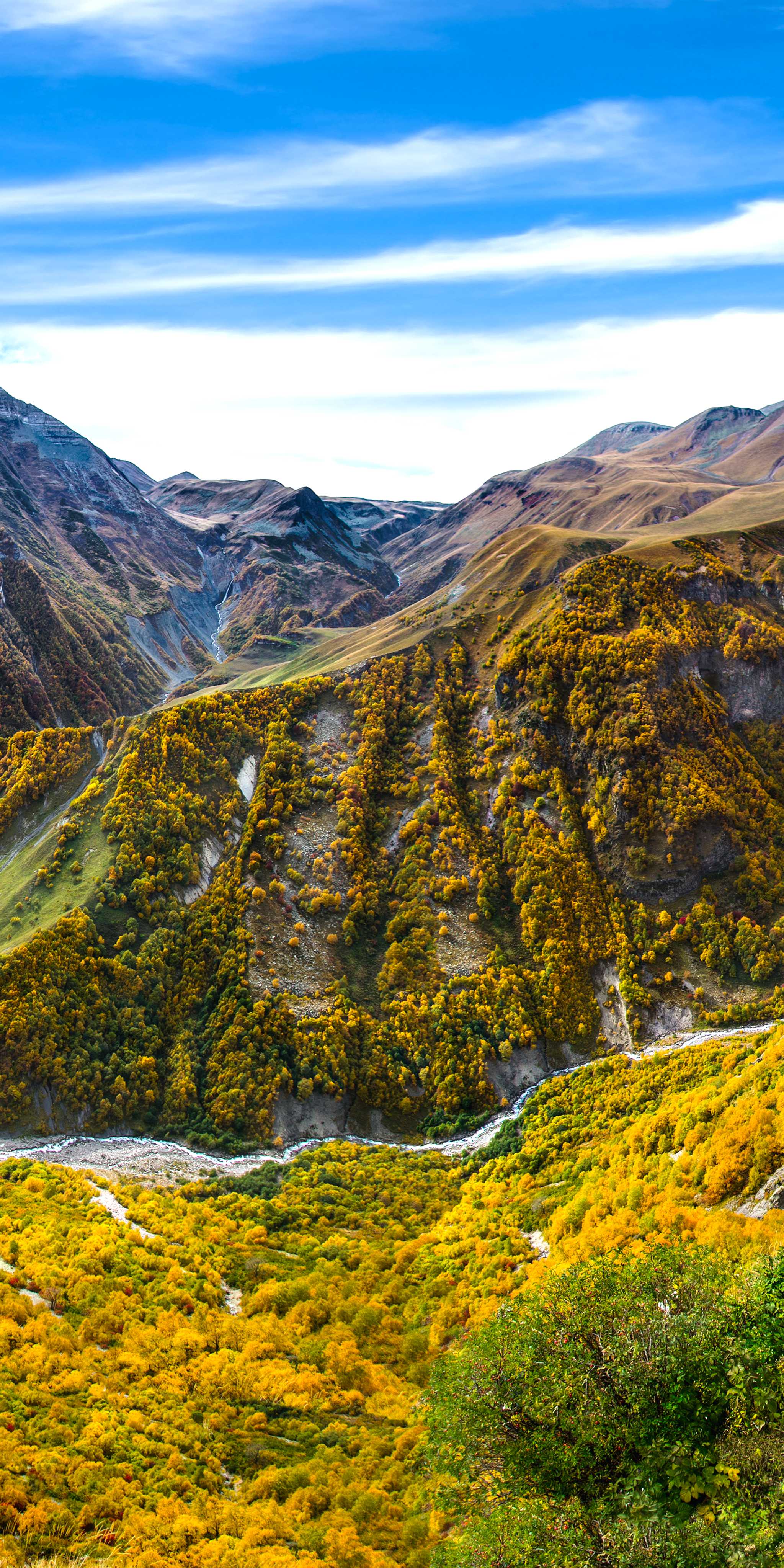 ๊ตฌ๋ค์ฐ๋ฆฌ