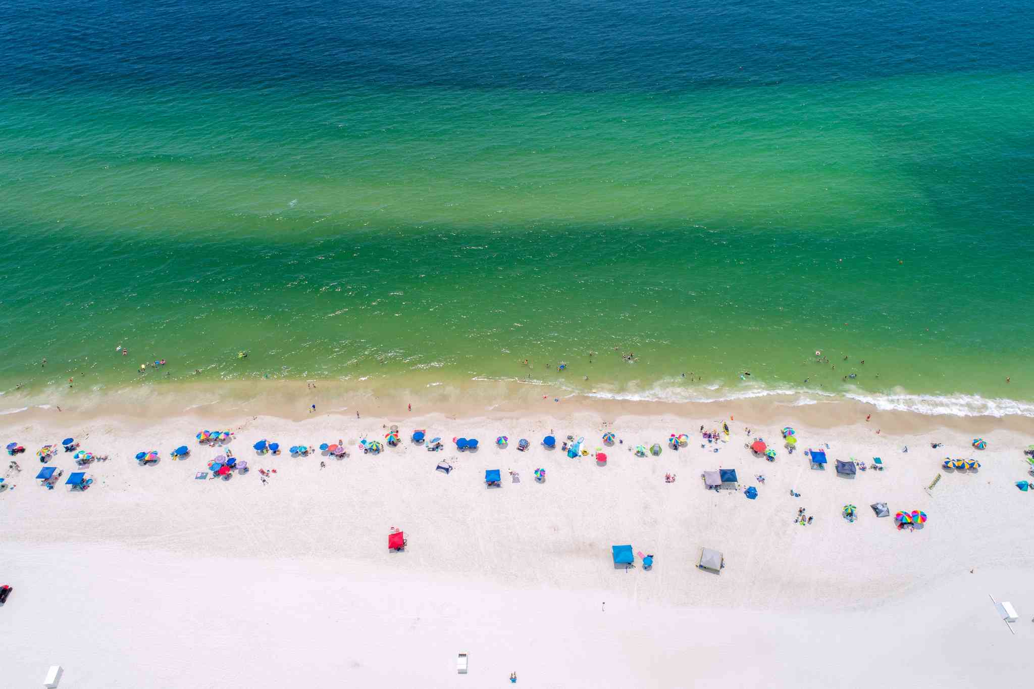 Sarasota, FL 의 경치 - Gulf Shores, AL 에서 출발하는 개인 day trip - 사진 5
