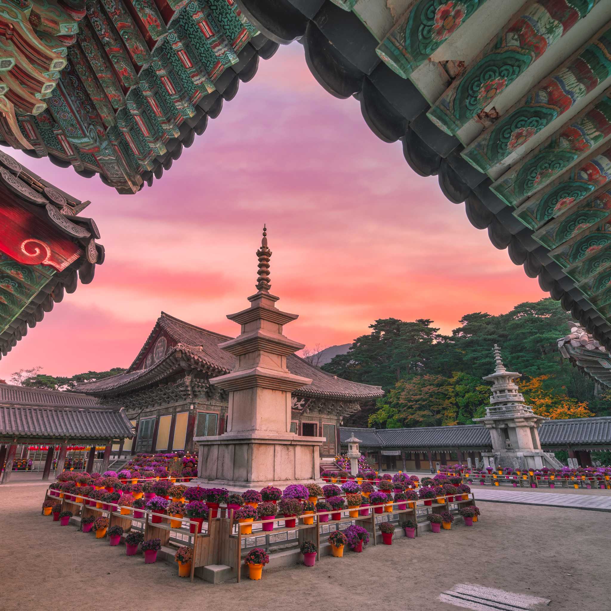 Private car transfers in South Korea from Gyeongju