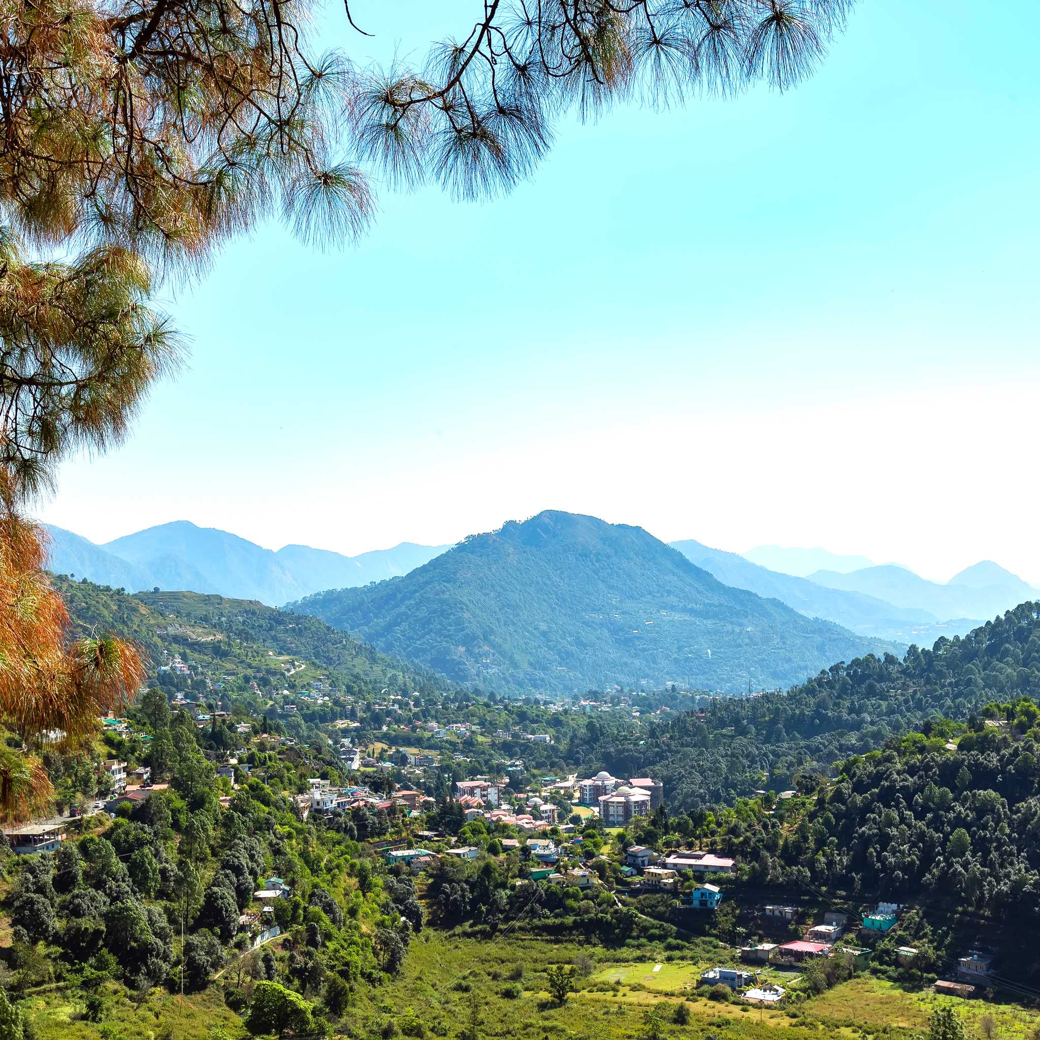 Haldwani