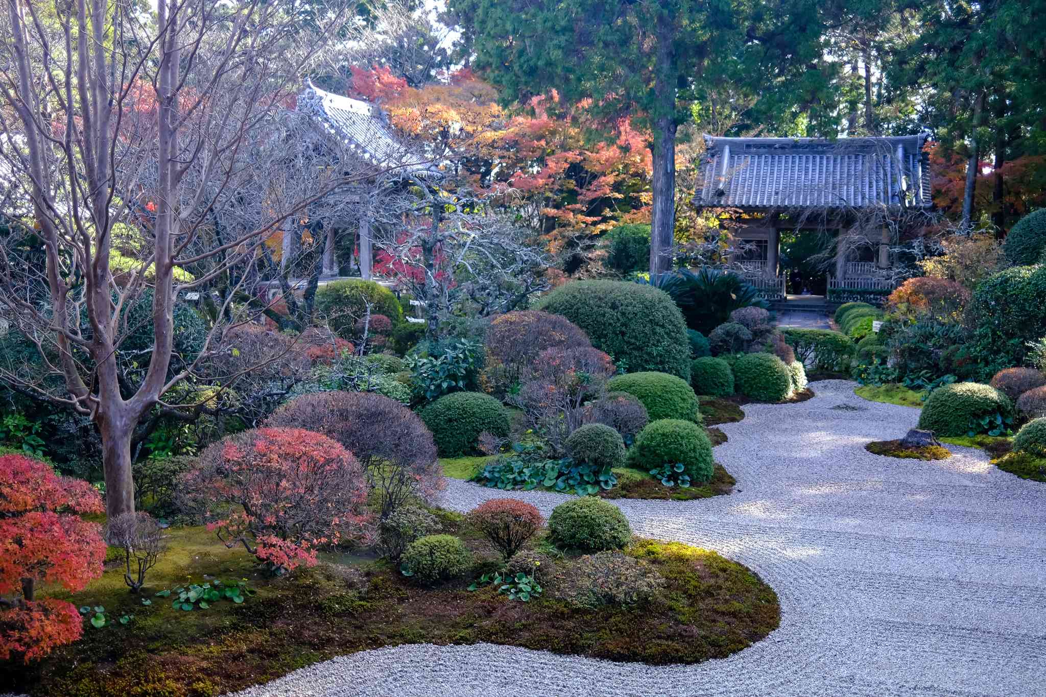 Vista cênica de Tokyo - excursão particular de um dia de Hamamatsu - foto 10