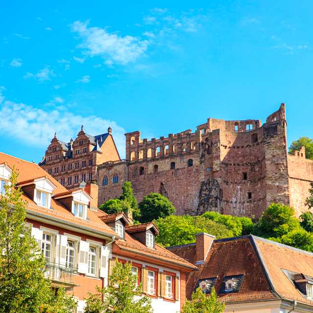 Frankfurt to Heidelberg and Schwetzingen: Private day trip