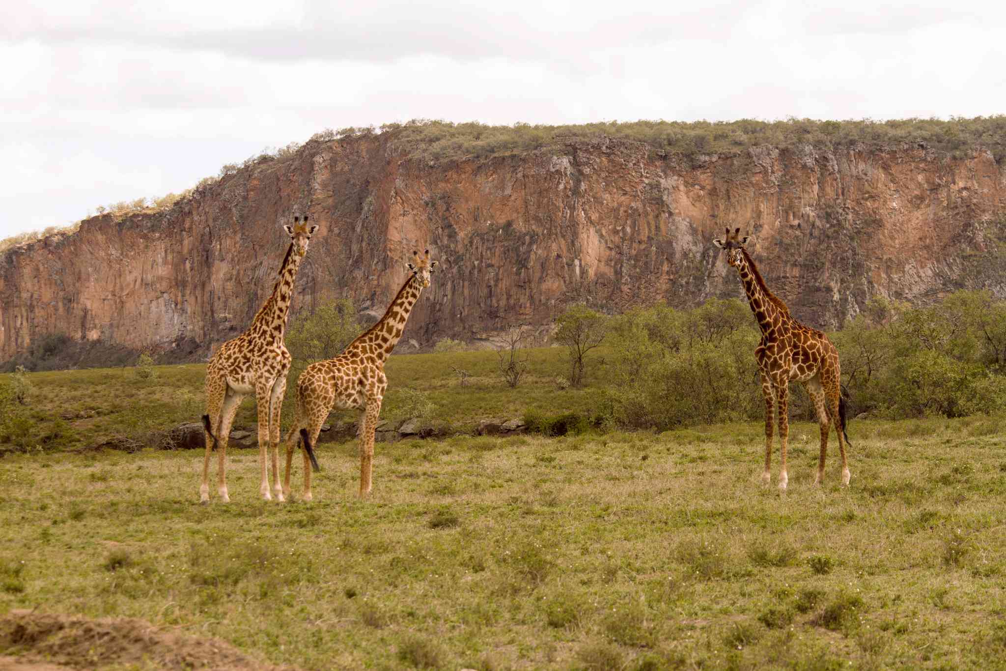 Scenic view of Hell's Gate - private day trip from Nakuru - photo 2