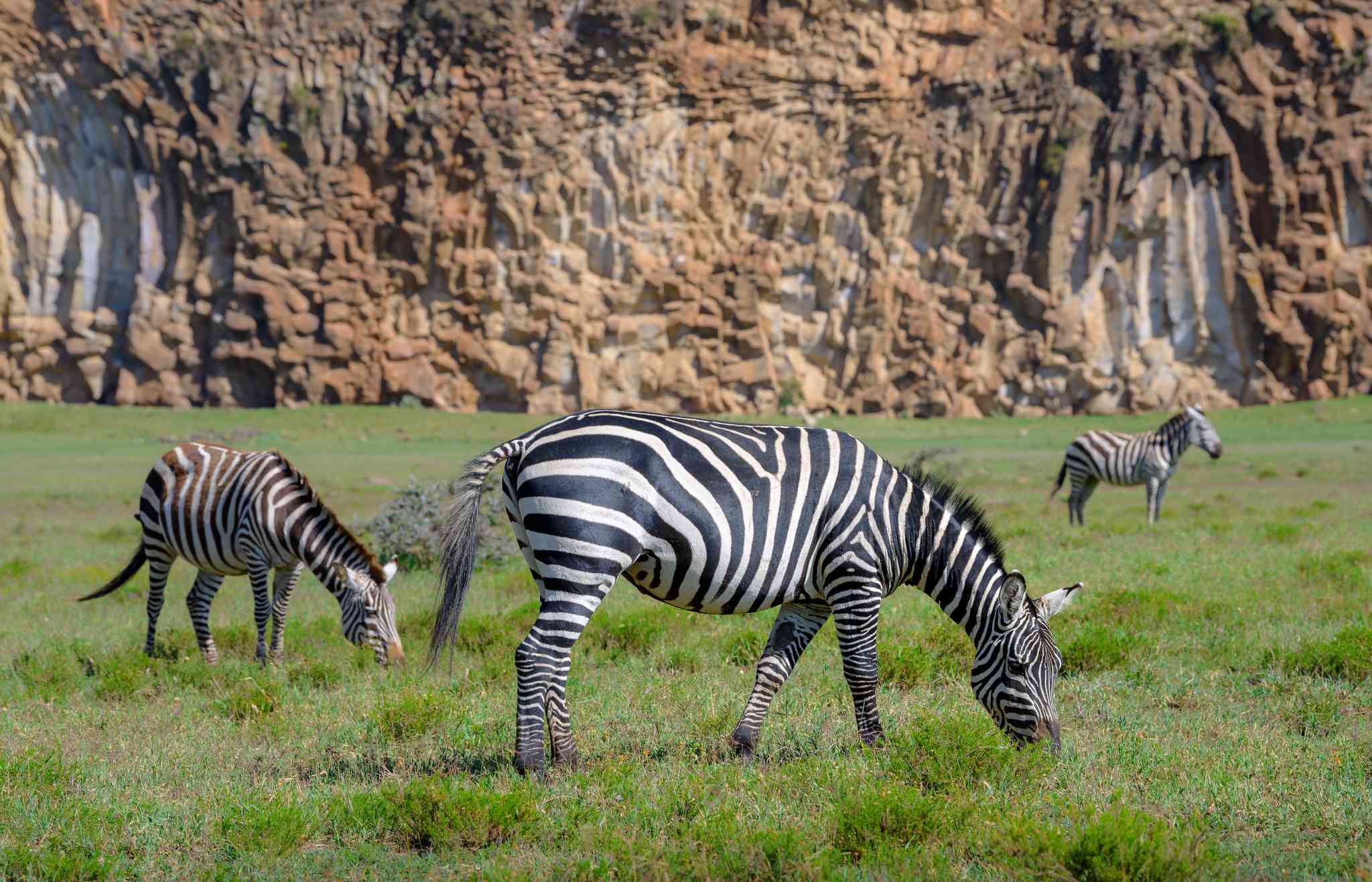 Scenic view of Hell's Gate - private day trip from Nakuru - photo 5