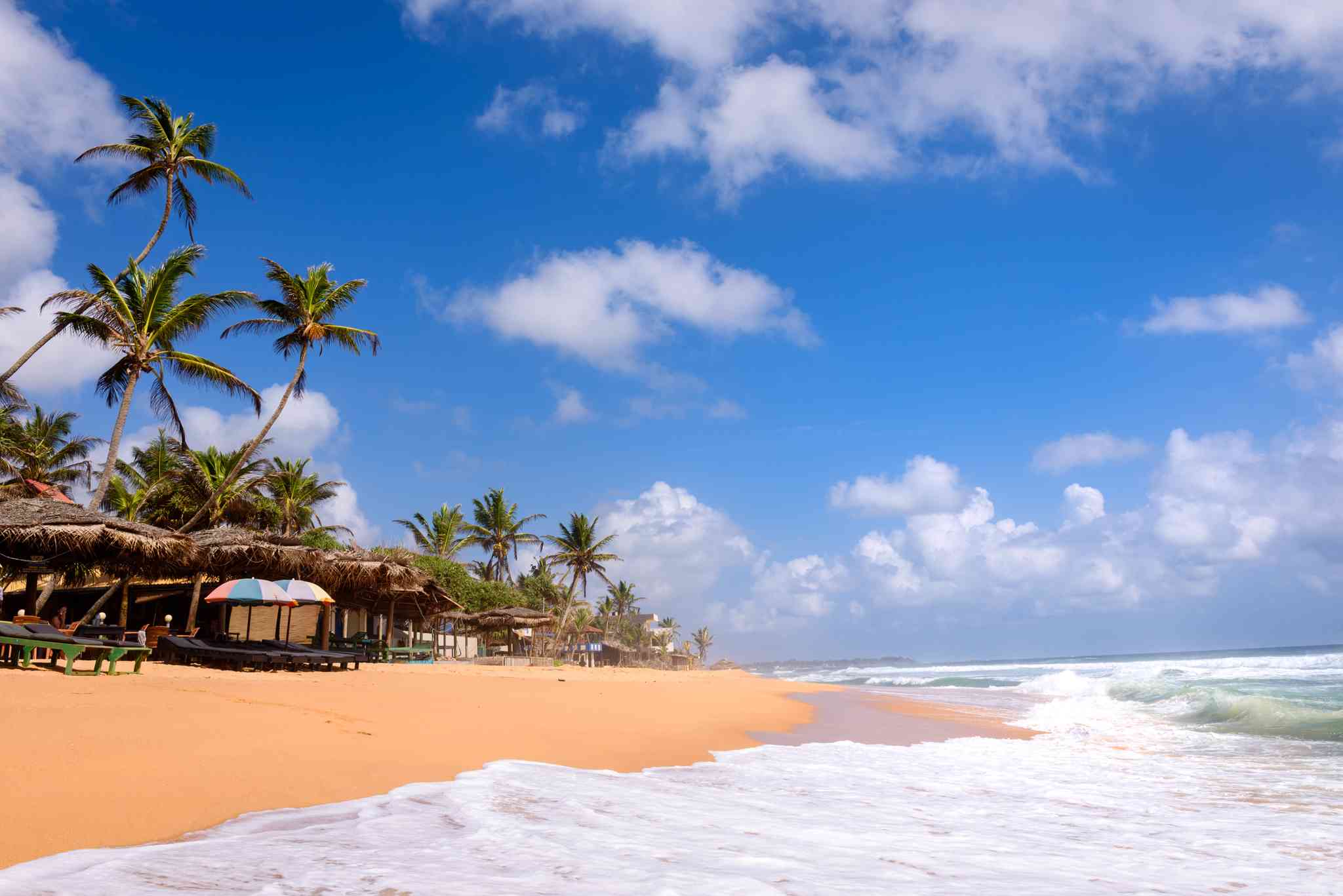 Negombo 의 경치 - Hikkaduwa 에서 출발하는 개인 day trip - 사진 6