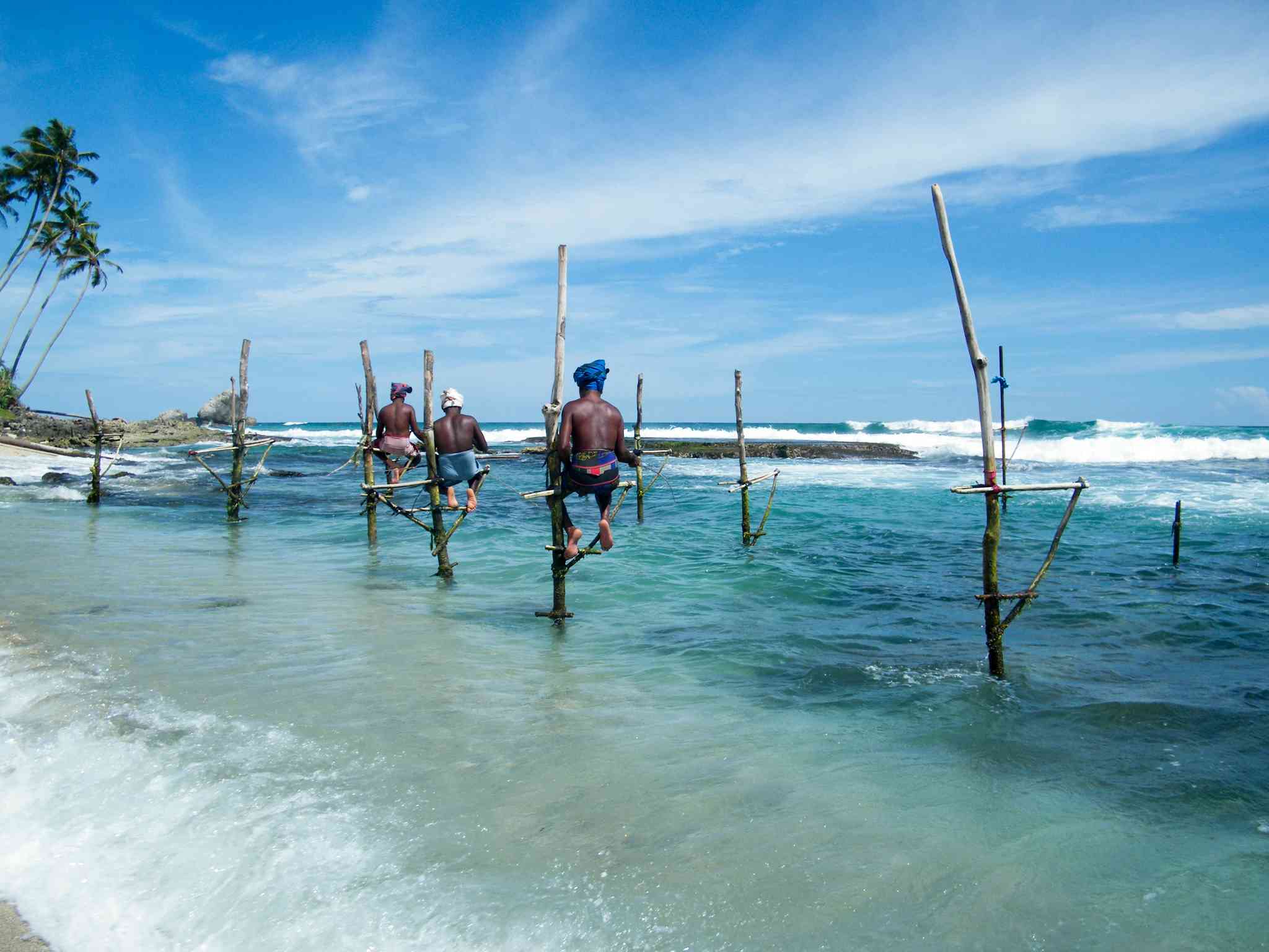 Negombo 의 경치 - Hikkaduwa 에서 출발하는 개인 day trip - 사진 8