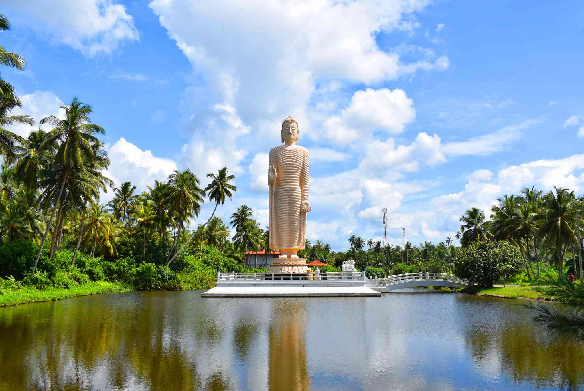 Negombo 의 경치 - Hikkaduwa 에서 출발하는 개인 day trip - 사진 7