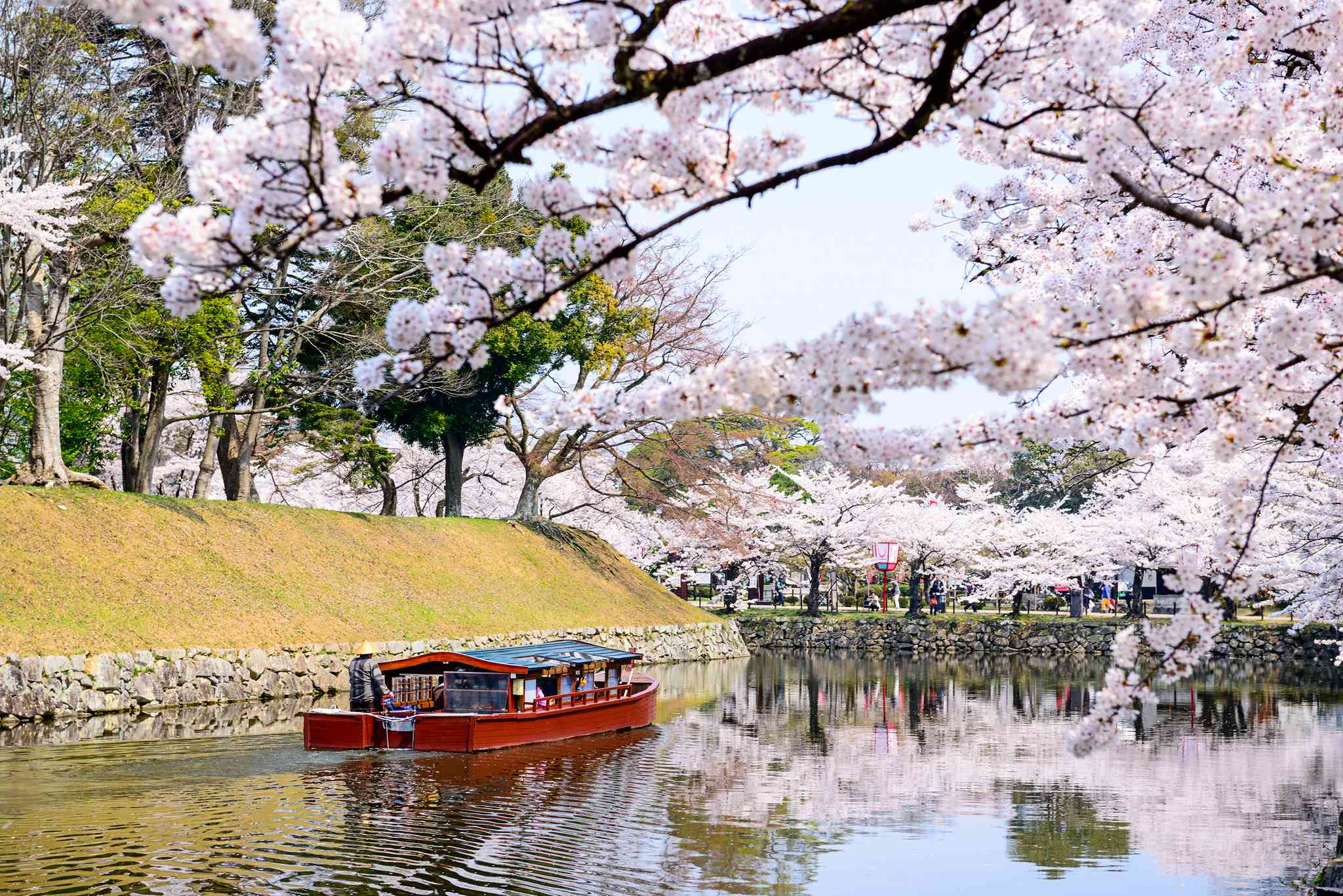 고베 의 경치 - Hikone 에서 출발하는 개인 day trip - 사진 7