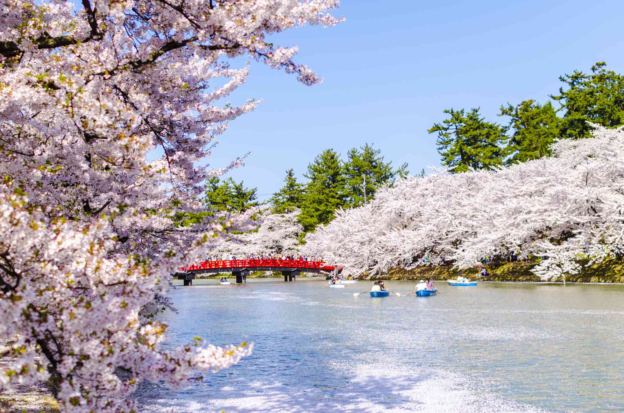 Vista panorámica de New Chitose Airport - excursión privada de un día desde Hirosaki - foto 4