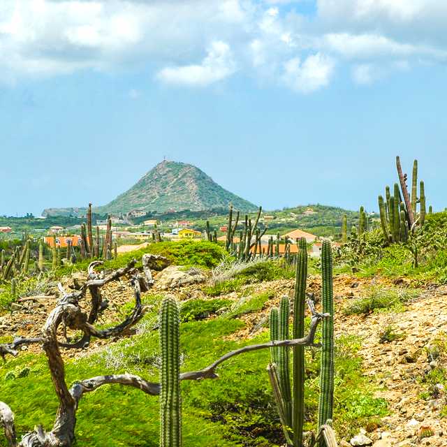 Oranjestad to Hooiberg Mountain and San Nicolaas: Day trip