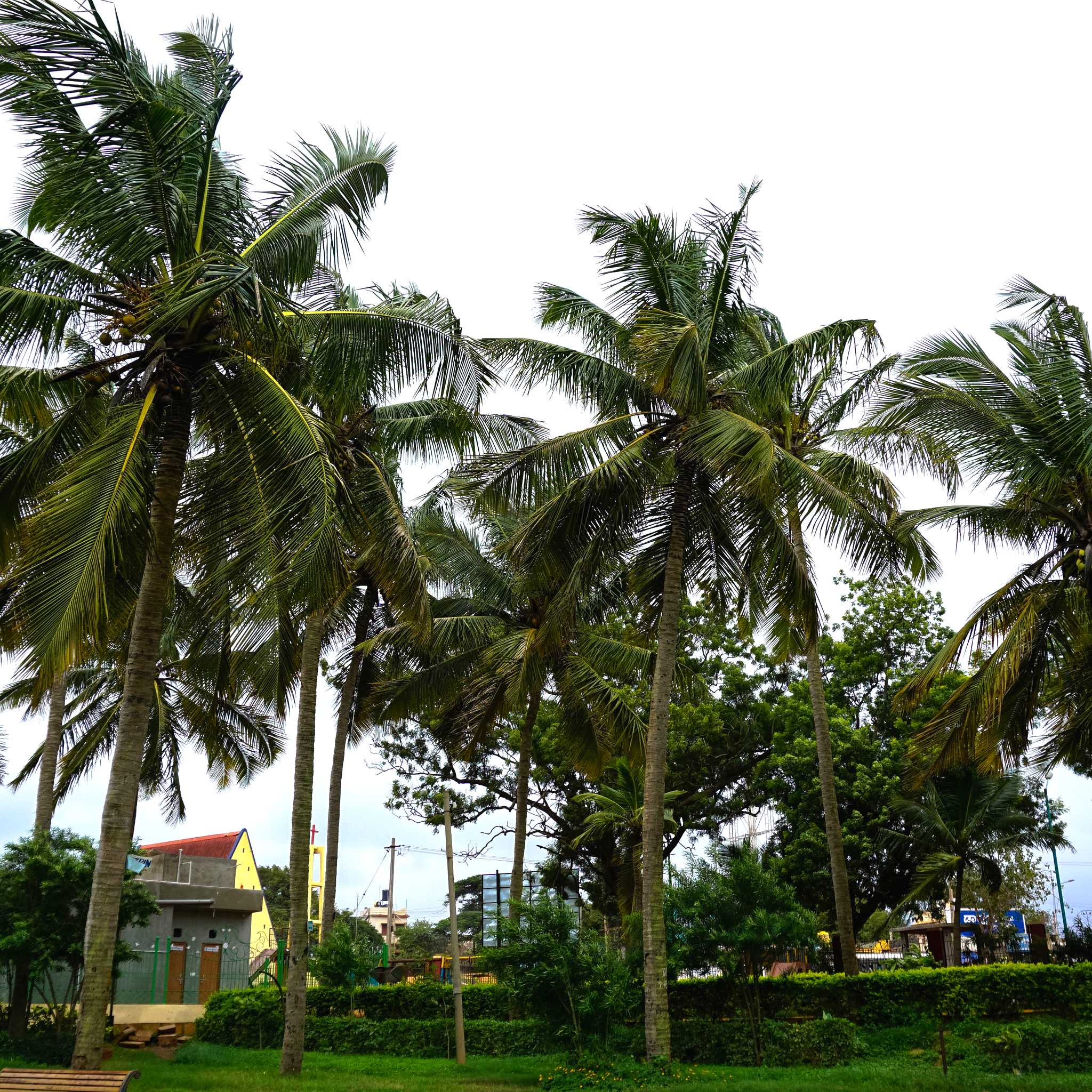 Hubballi