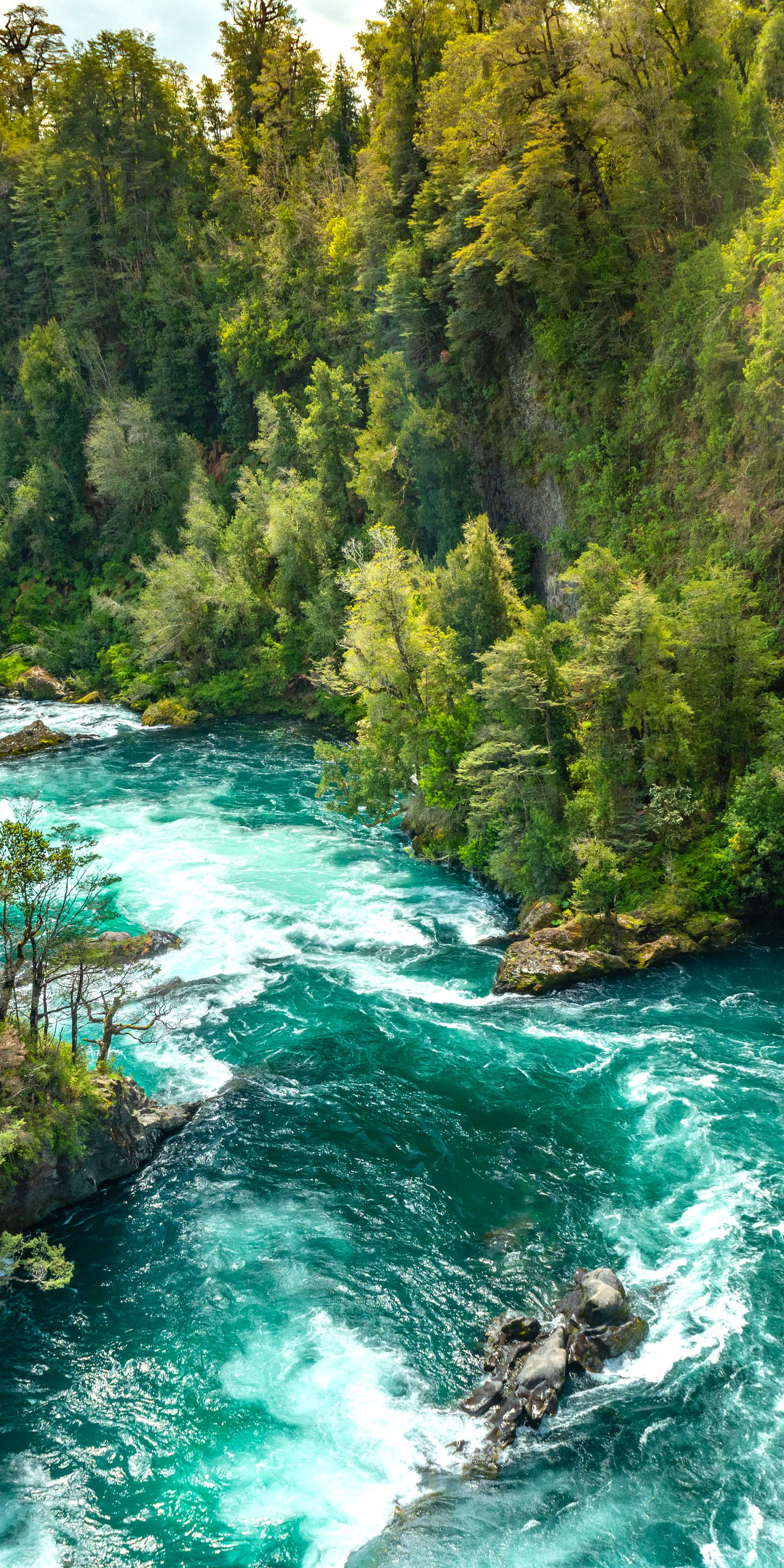 Huilo-Huilo Biological Reserve