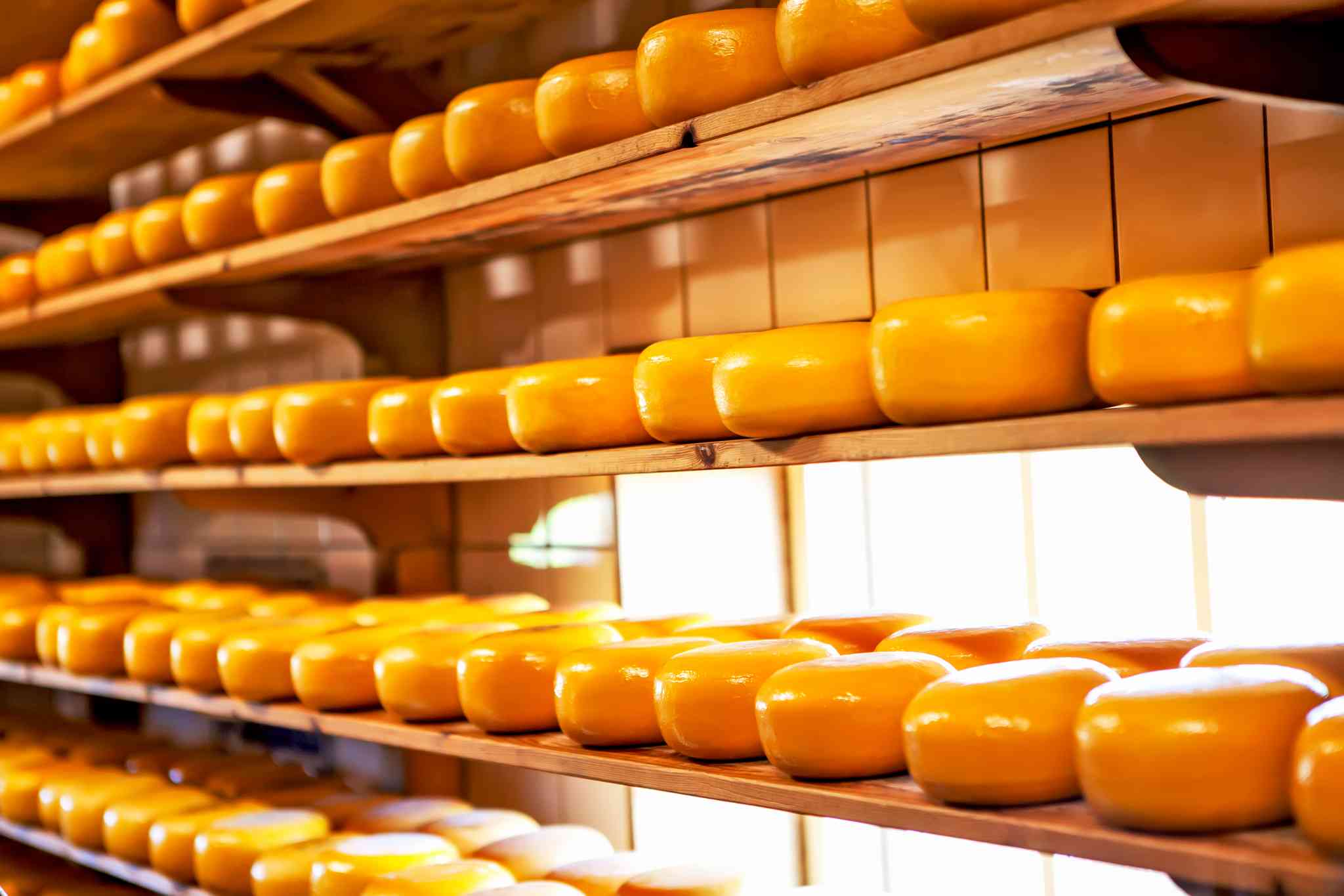 英格索尔奶酪与农业博物馆