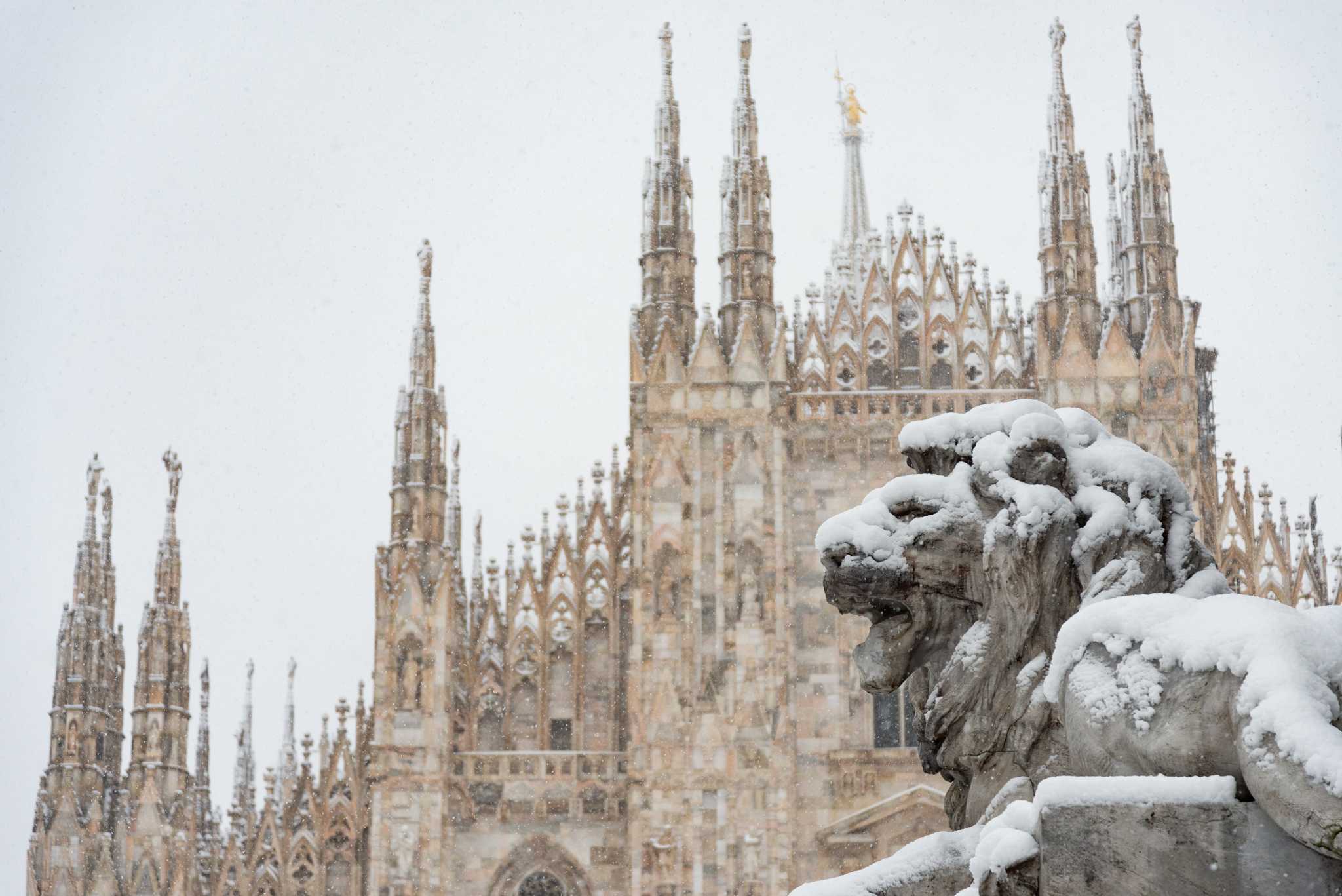 Snow-covered lion statue before the spires of the Milan Duomo during snowfall.