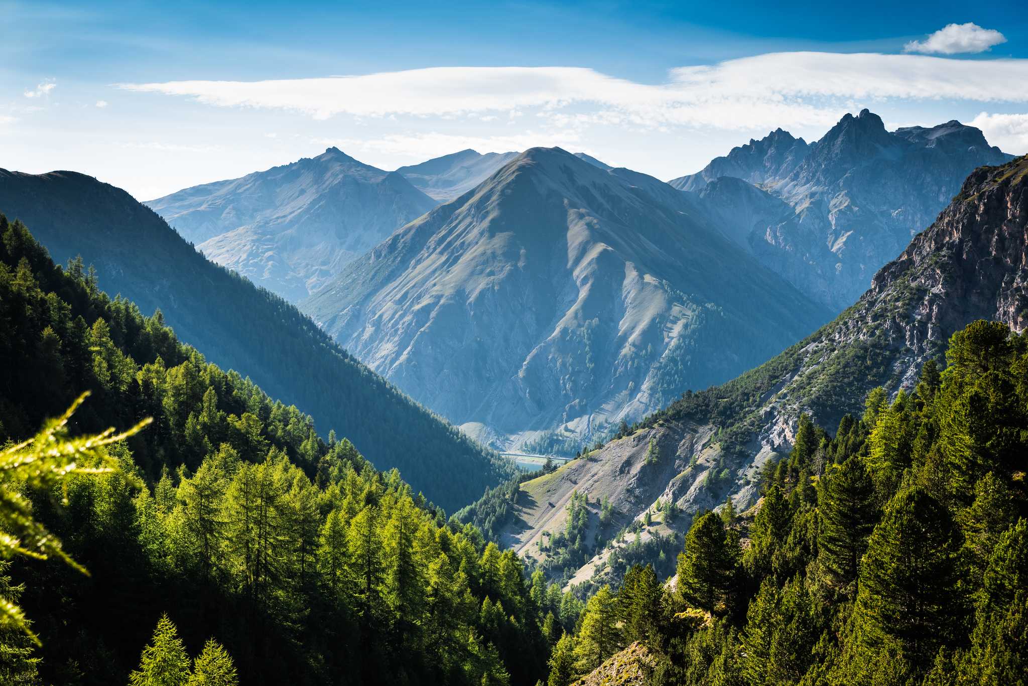 Forested slopes falling away to a valley below high rocky alpine peaks.