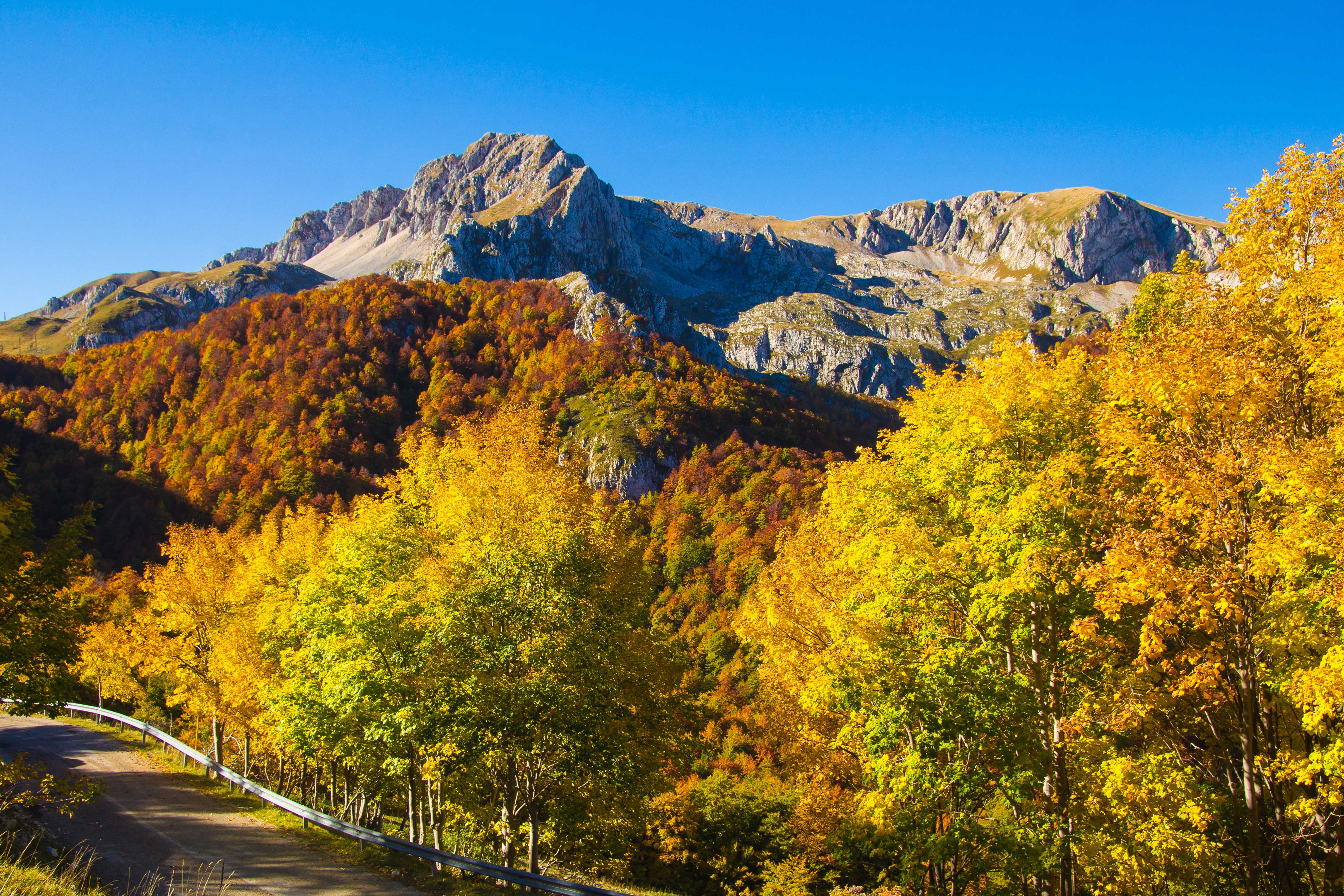 Travel inspiration for Italy in October: Fall Color, Truffles & Low Prices - Private day trips by Daytrip