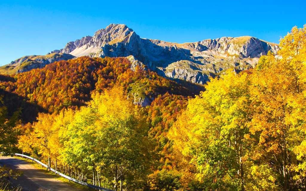 Tailored trips for Italy in October: Fall Color, Truffles & Low Prices - Private transfers by Daytrip