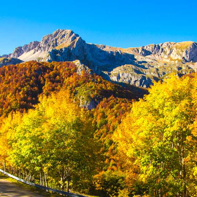 Viajes a medida para Italy in October: Fall Color, Truffles & Low Prices - Traslados privados por Daytrip