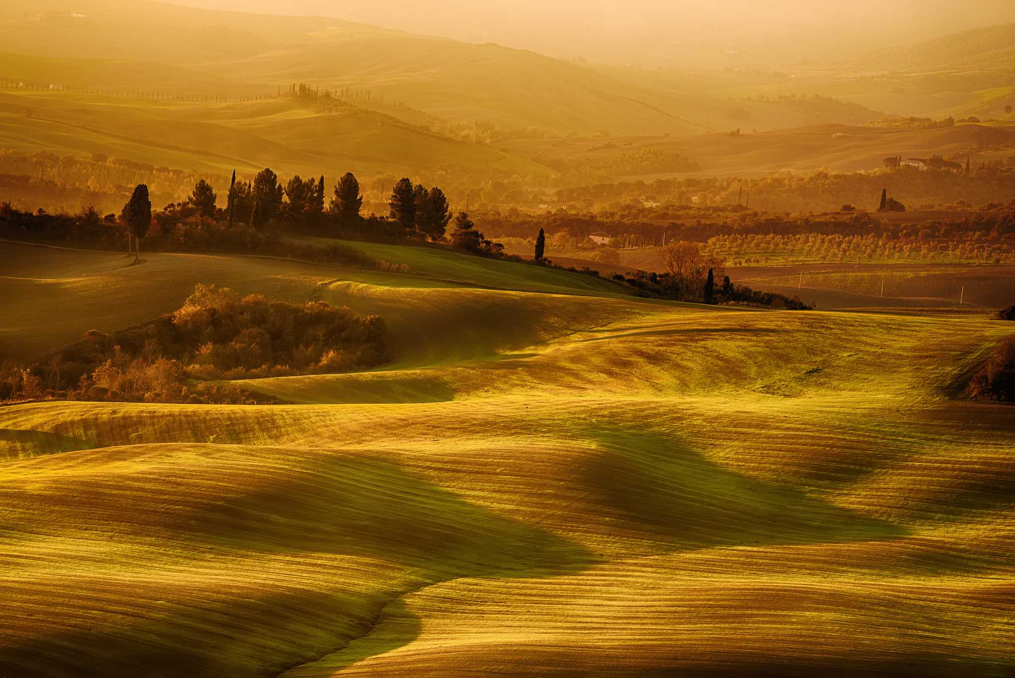 Rolling Tuscan hills and cypress trees bathed in golden autumn light.