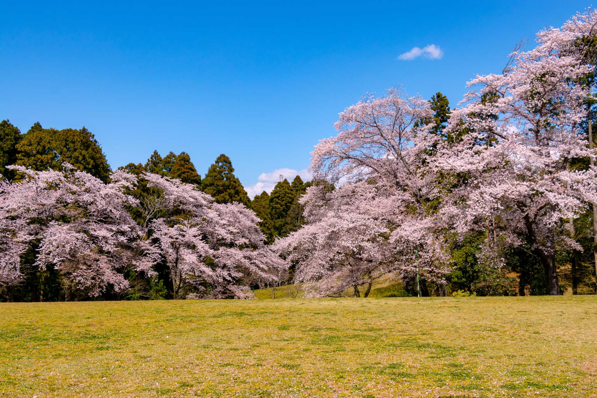 Izumi Nature City Park