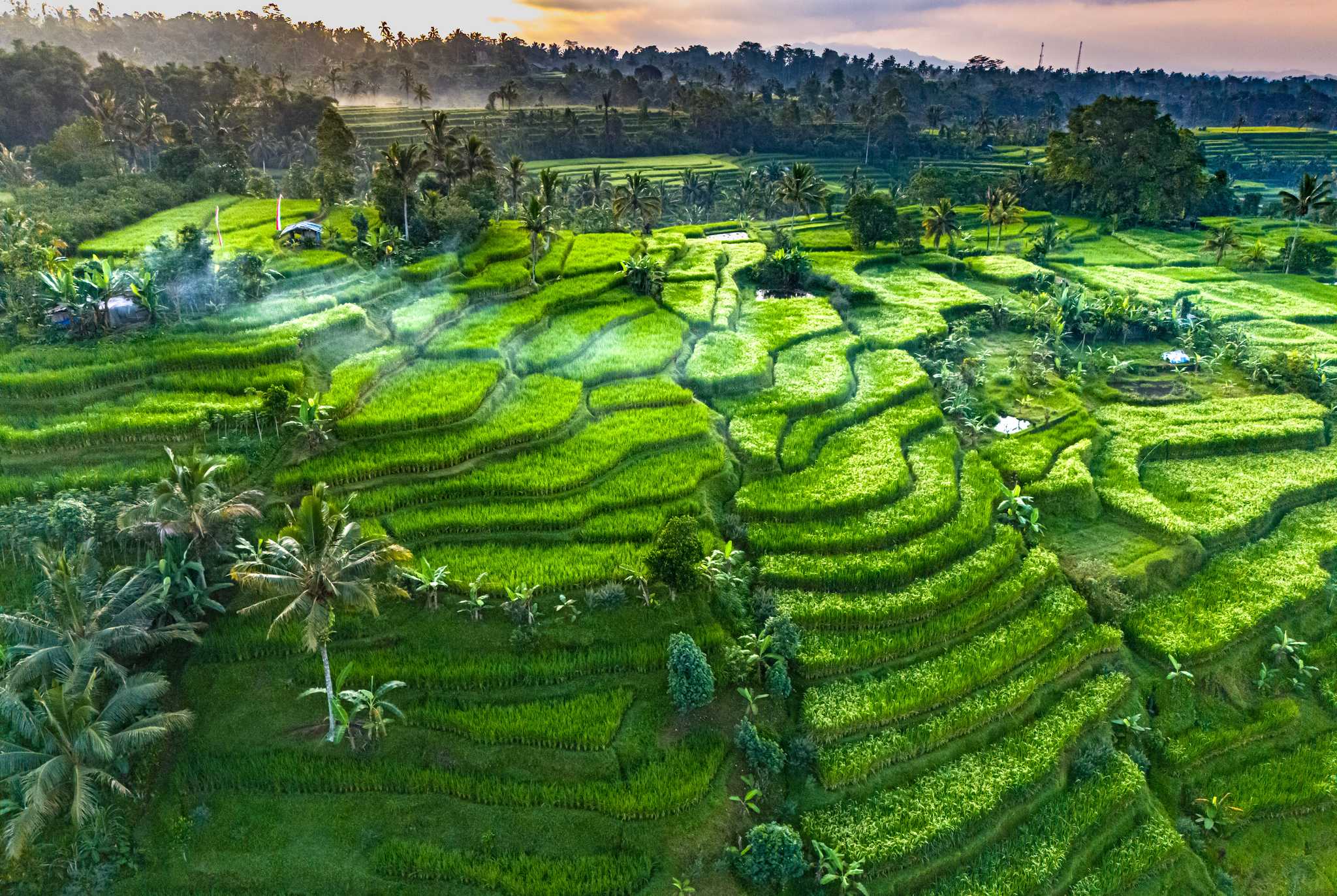 Itinerary stop at Jatiluwih Rice Terraces on private day trip from Denpasar