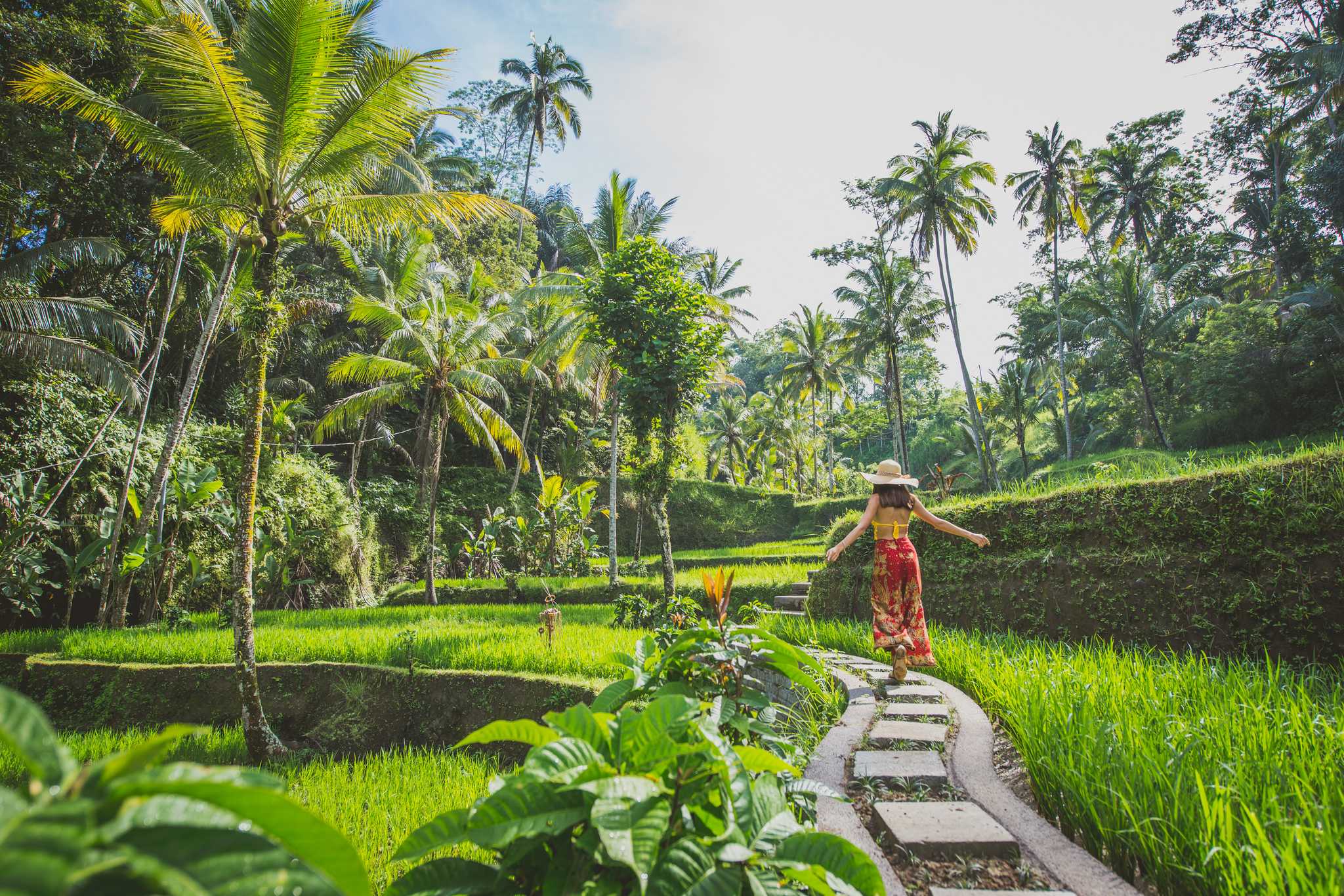 Itinerary stop at Jatiluwih Rice Terraces on private day trip from Denpasar